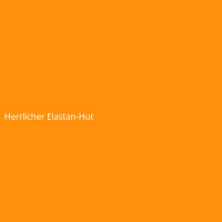 Gorgeous Elastane Hat