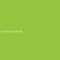 Herrlicher Seide-BH