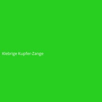 Klebrige Kupfer-Zange